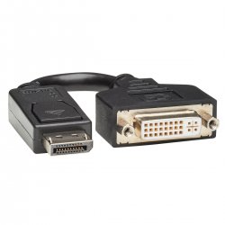 Eaton Tripp Lite Series DisplayPort to DVI-I Adapter Cable (M/F), 6 in. (15.2 cm) - Adaptador de visor - DisplayPort (M) para D
