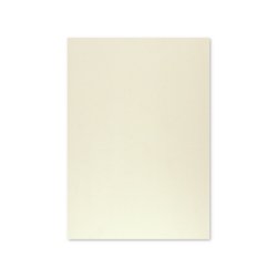 Cartolina A4 Cinzento 9 250g 125 Folhas 1725827