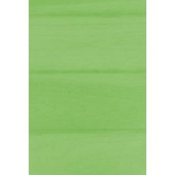 Papel Vegetal A4 100g Verde Limão 10Fls 1837686