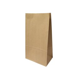 Saco sem Asas 20x12x37,5cm Papel Kraft 070g 1un 6701693