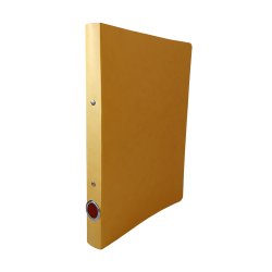 Pasta Arquivo L/E Cartão Hidráulico 2/25 Amarelo 170R35.13