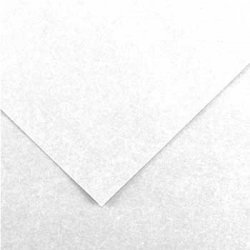 Cartolina 50x65cm Branco 185g 1 Folha Canson 17240218