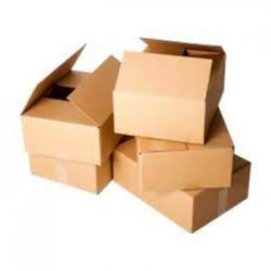 Caixa Cartão Simples 485x285x225mm 20un 2613