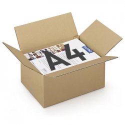 Caixa Cartão Simples 312x225x152mm (0,0106m3)- 25un 1701085