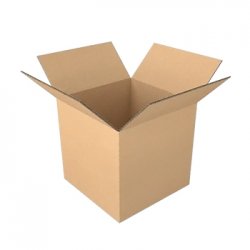 Caixa Cartão Simples 230x230x230mm 25un 1701088