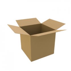 Caixa Cartão Duplo 350x250x200mm (0,017m3) 10un 2619