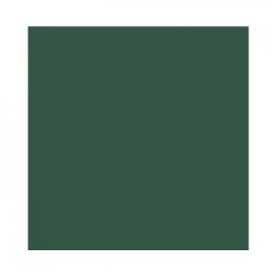 Cartolina 50x65cm Verde Amazonas 185g 1 Folha Canson 17240240