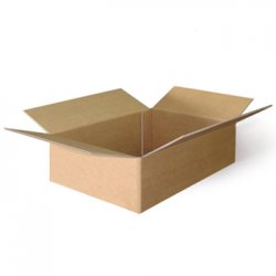 Caixa Cartão Simples 200x150x100mm 20un 263201