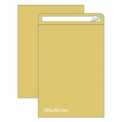 Envelopes Saco 184x261mm Kraft 080g Autodex 250un 1611035