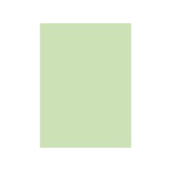 Cartolina A4 Verde CLA 3 250g 1 Folha 1725991/UN
