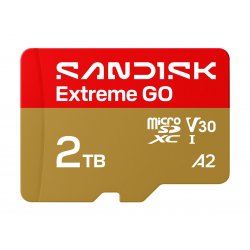 SDSQXGN-2T00-GN6MN SanDisk Extreme Go - Cartão de memória flash - 2 TB - A2 / Video Class V30 / UHS-I U1 - microSDHC UHS-I