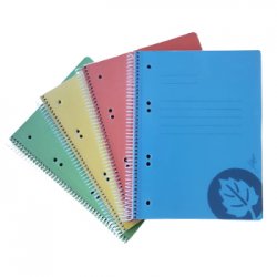 Caderno Espiral A5 Pautado Platanus Sortido 100Fls 108Z26179