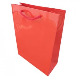 Saco 24x10x31cm Papel Couché 200g c/Asas Cordão Vermelho 1un 6701669