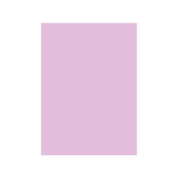 Cartolina A4 180g Rosa 7A 1 Folha 1725953/UN